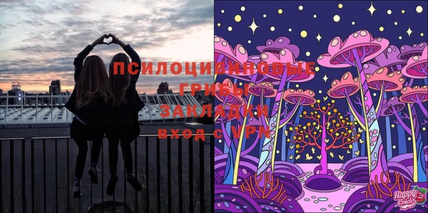 прущие крисы Саяногорск